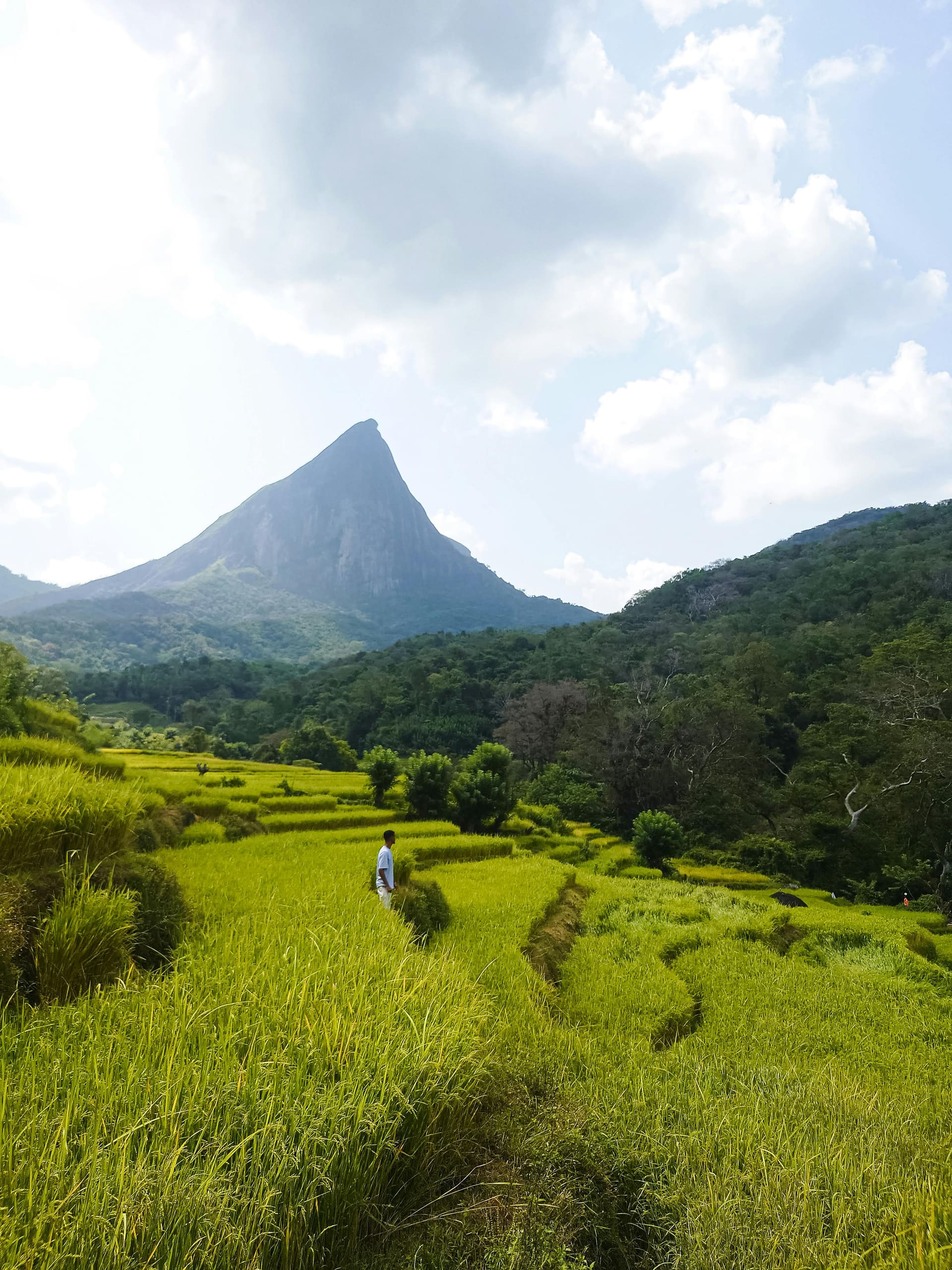 Sri Lanka tailor-made travel