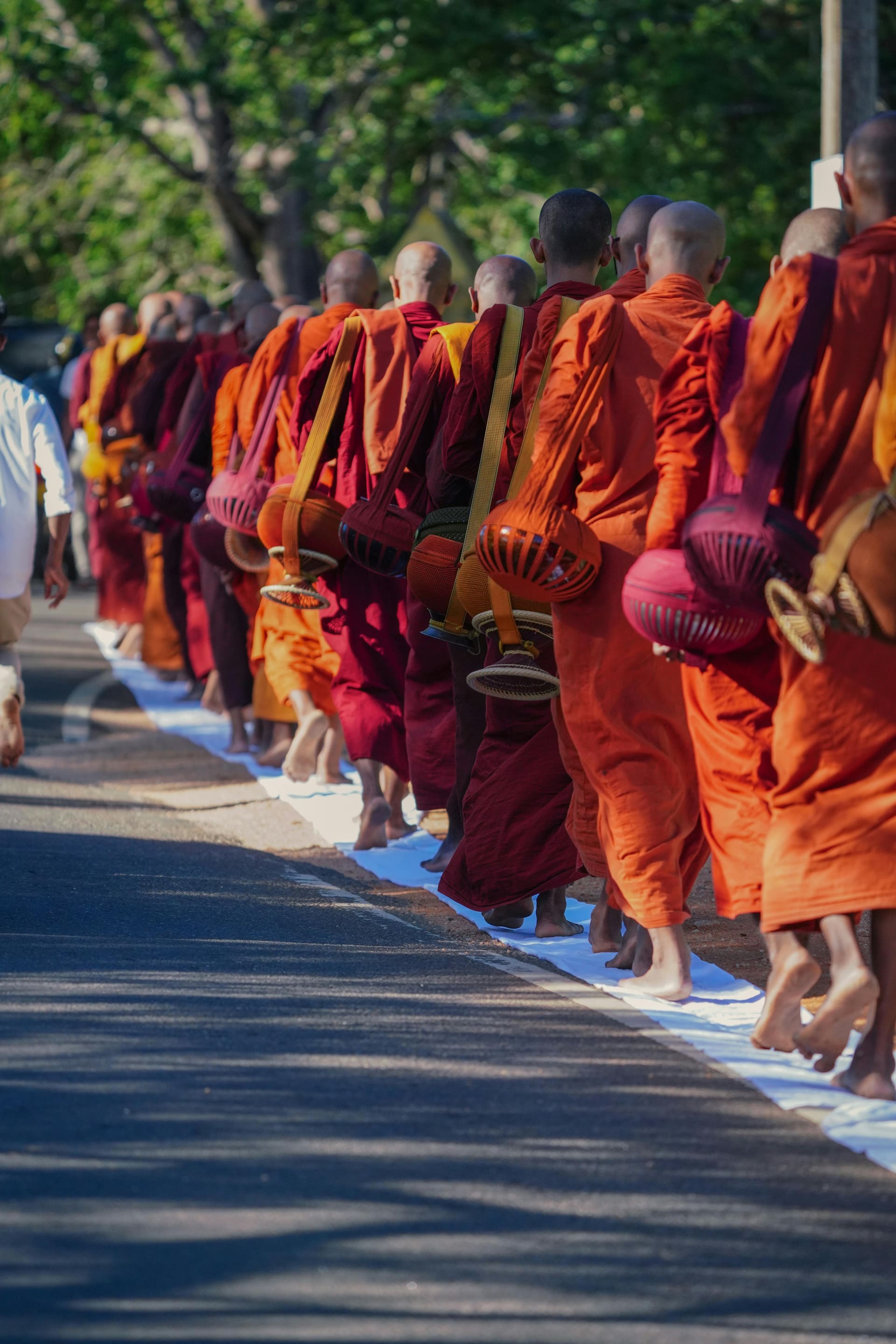 Cultural Journeys