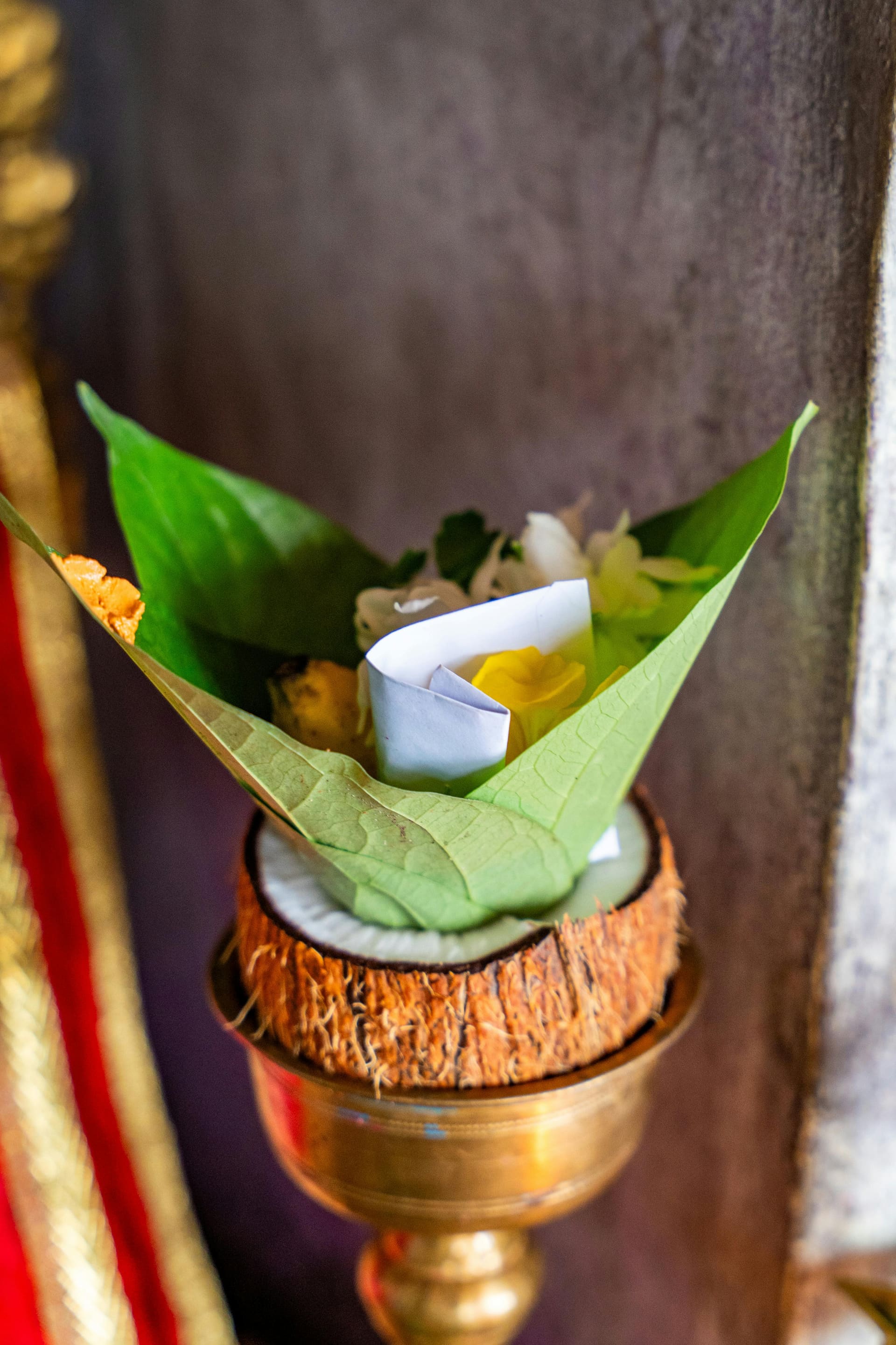 Wellness & Ayurveda