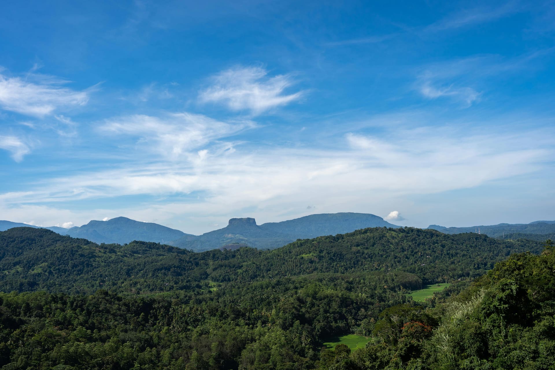 How to Plan a Beautiful Tailor-Made Journey Across Sri Lanka